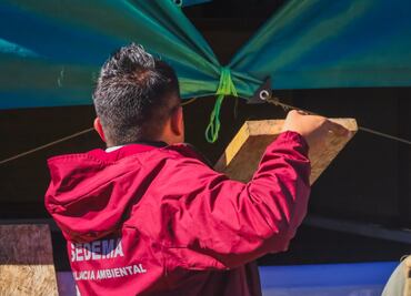 FOTOS: Detienen a dos vehículos con madera durante operativo contra la tala ilegal en Tlalpan