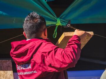 FOTOS: Detienen a dos vehículos con madera durante operativo contra la tala ilegal en Tlalpan