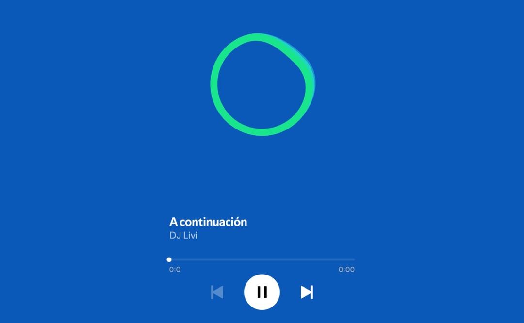 Imagen: captura de pantalla