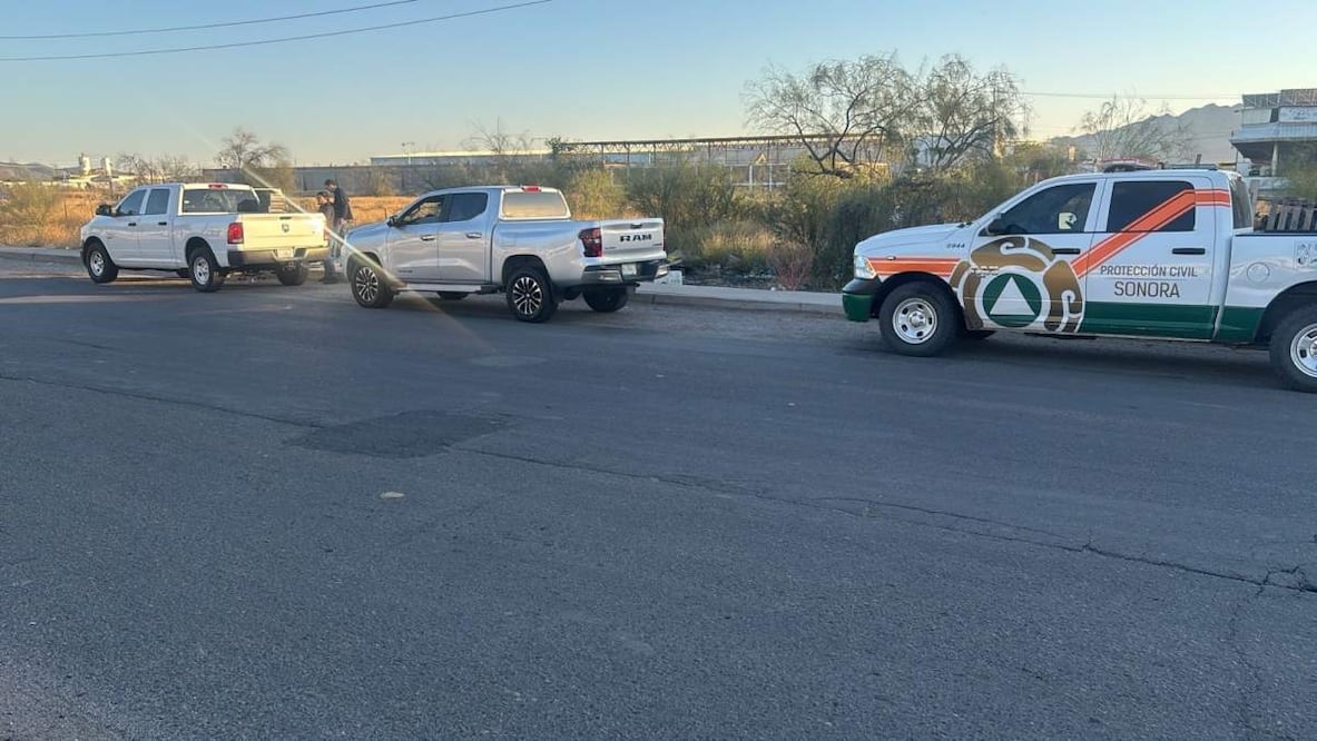 En el operativo participaron elementos de la Policía Estatal de Seguridad Pública (PESP), la municipal, la Guardia Nacional (GN), la Comisión de Búsqueda de Personas para el Estado de Sonora y la Coordinación Estatal de Protección Civil (CNPC). Foto: Especial