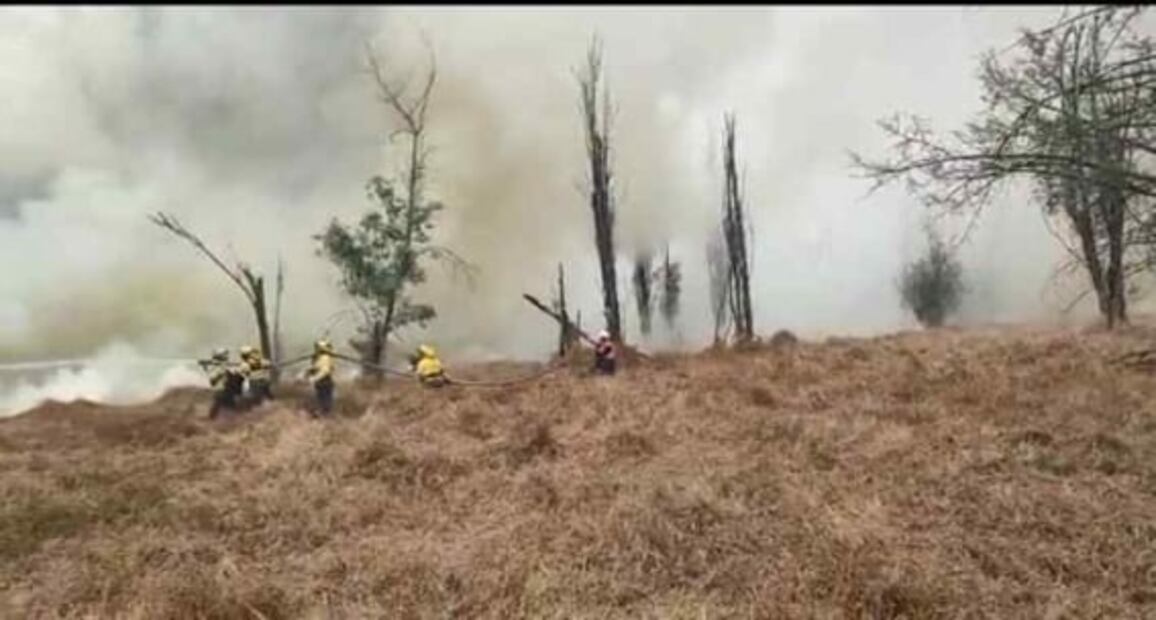 Tras casi 8 horas controlan incendio en Parque Ecológico de Xochimilco