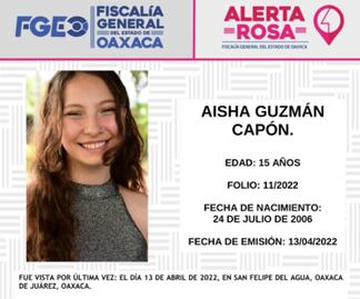 Lanzan Alerta Rosa por Aisha Guzmán Capón, estudiante del CEDART en Oaxaca