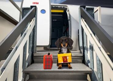 Conoce 5 de las aerolíneas más raras del mundo