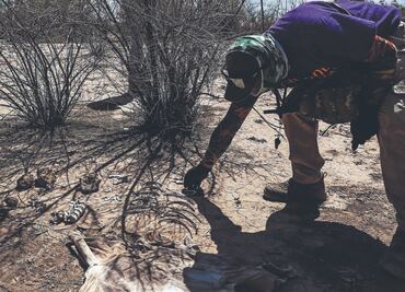 Escáneres portátiles donados por la ONU agilizan cotejo de huellas de restos humanos en Sinaloa