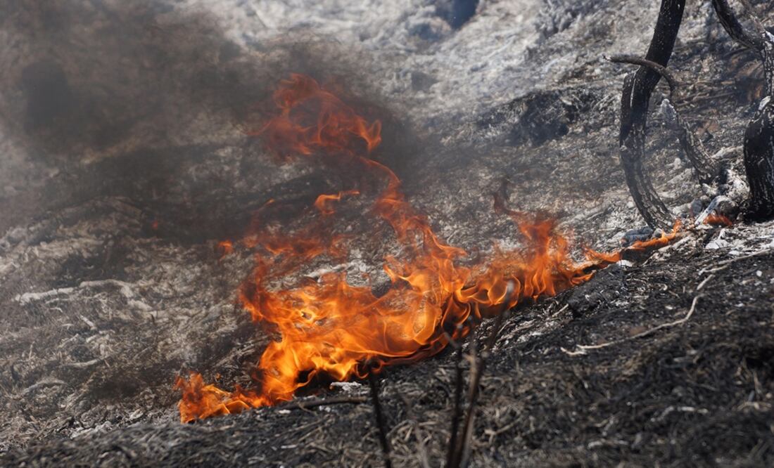 Foto: Archivo/EL UNIVERSAL