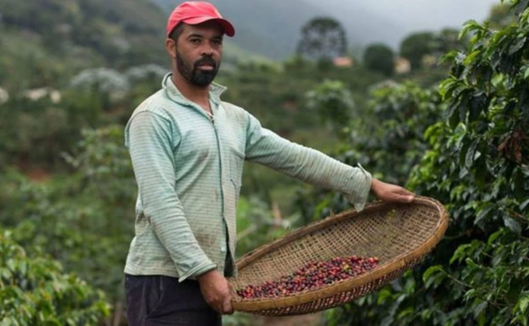 El café, el maíz y el frijol son los cultivos más afectados por el cambio climático en Centroamérica (Foto: Getty Images)