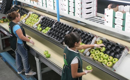 Estiman que exportaciones mexicanas alcancen crecimiento de 9% durante 2021