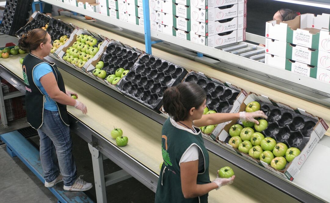 Foto: Archivo / EL UNIVERSAL