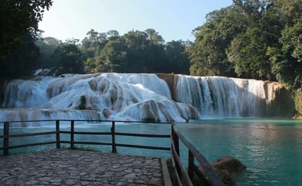 Crece el afluente de las cascadas de Agua Azul