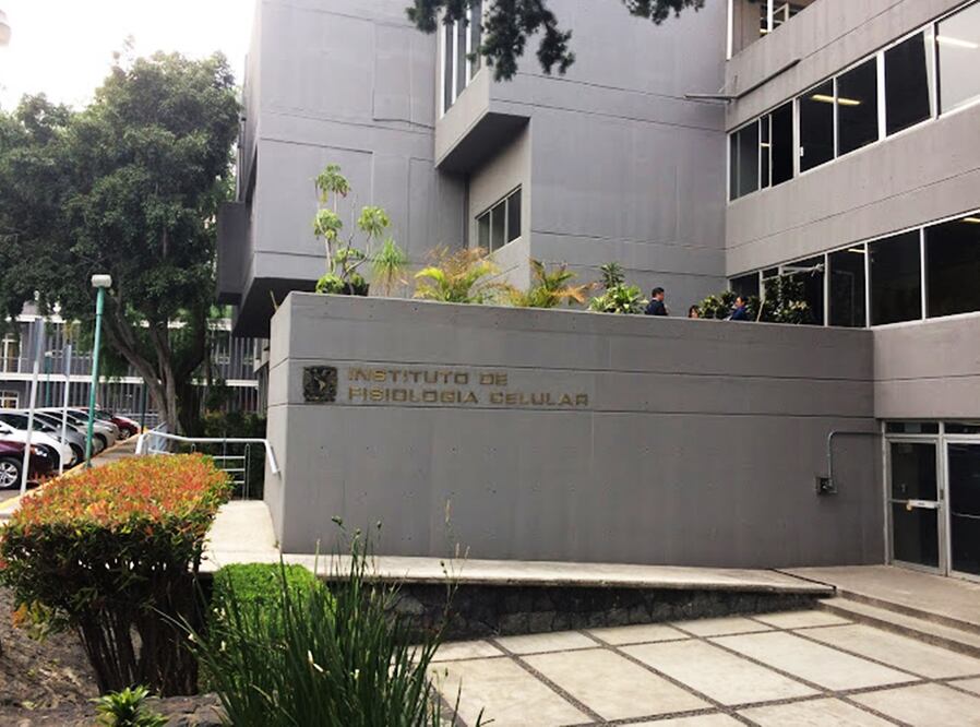 Instituto de Fisiología Celular de la UNAM.
Foto: Especial