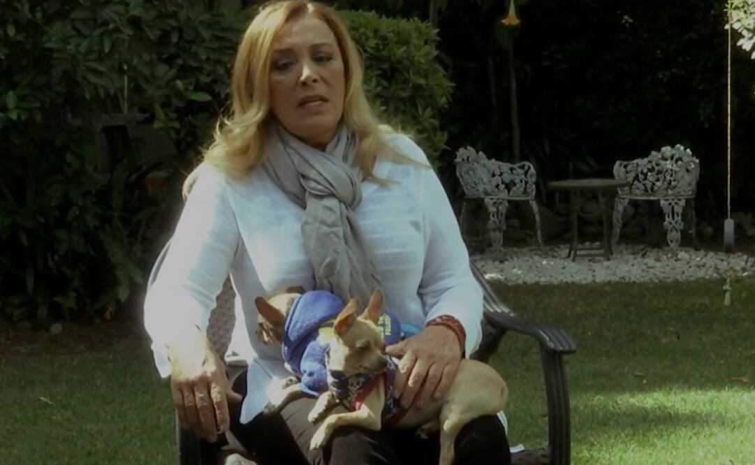 FOTO: Especial EL UNIVERSAL