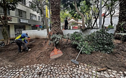 Dan últimos detalles en la rehabilitación de Plaza Bruno Giordano