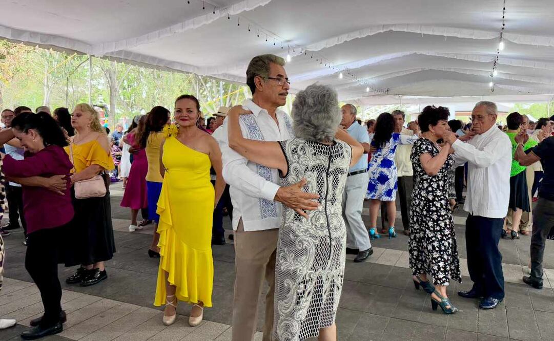 Gobierno de CDMX declara práctica del danzón como Patrimonio Inmaterial de la Ciudad de México. Foto: Especial