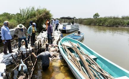 Con 500 costales frenan ingreso de agua salada a Tampico  