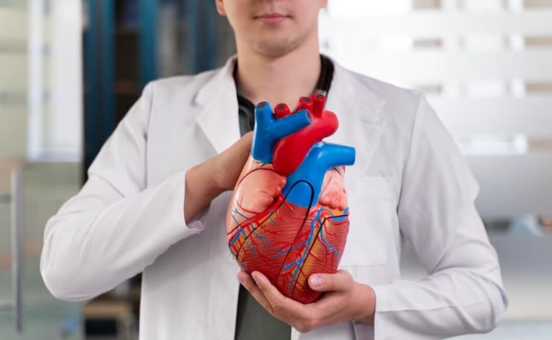 Beneficios de las algas verdiazul. Fuente: Freepik