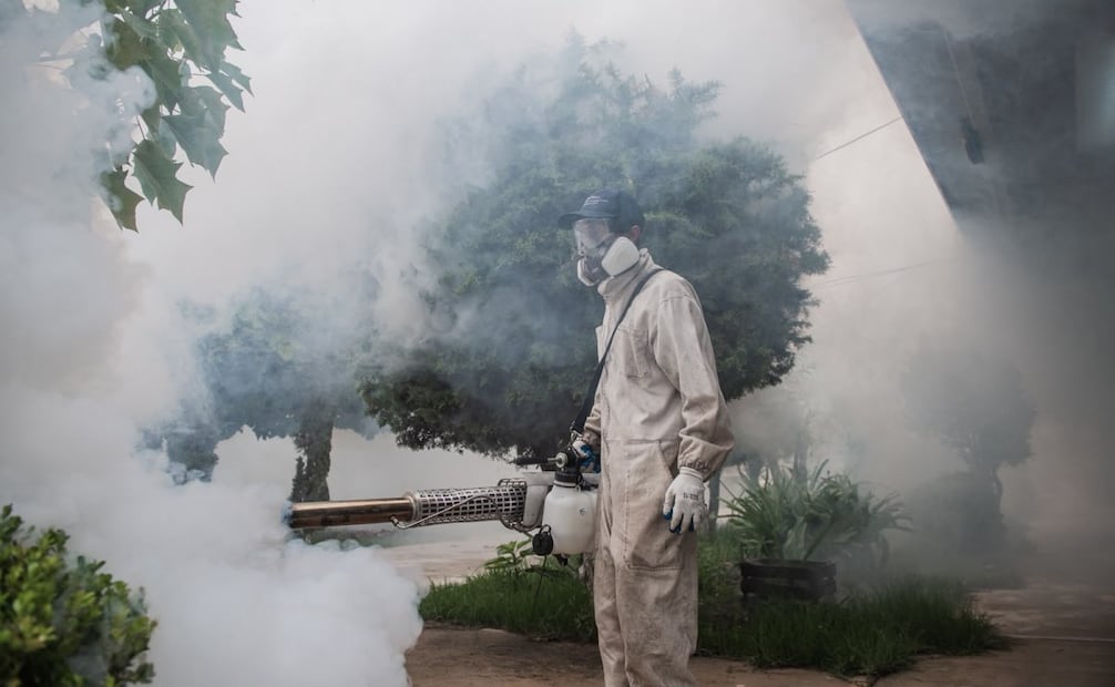 Fumigan 40 escuelas contra el mosco Culex en Tepetitlán, Hidalgo; labores seguirán hasta el 28 de agosto.
Foto: Especial.