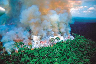 Consecuencias de los incendios en la Amazonia