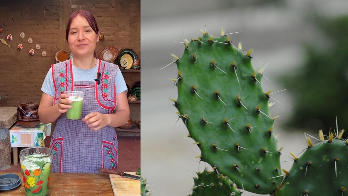 La hija de Doña Ángela compartió con sus seguidores una receta de agua de nopal que seguro te va a gusta. Foto: YouTube @La cocina en el rancho/Pixabay