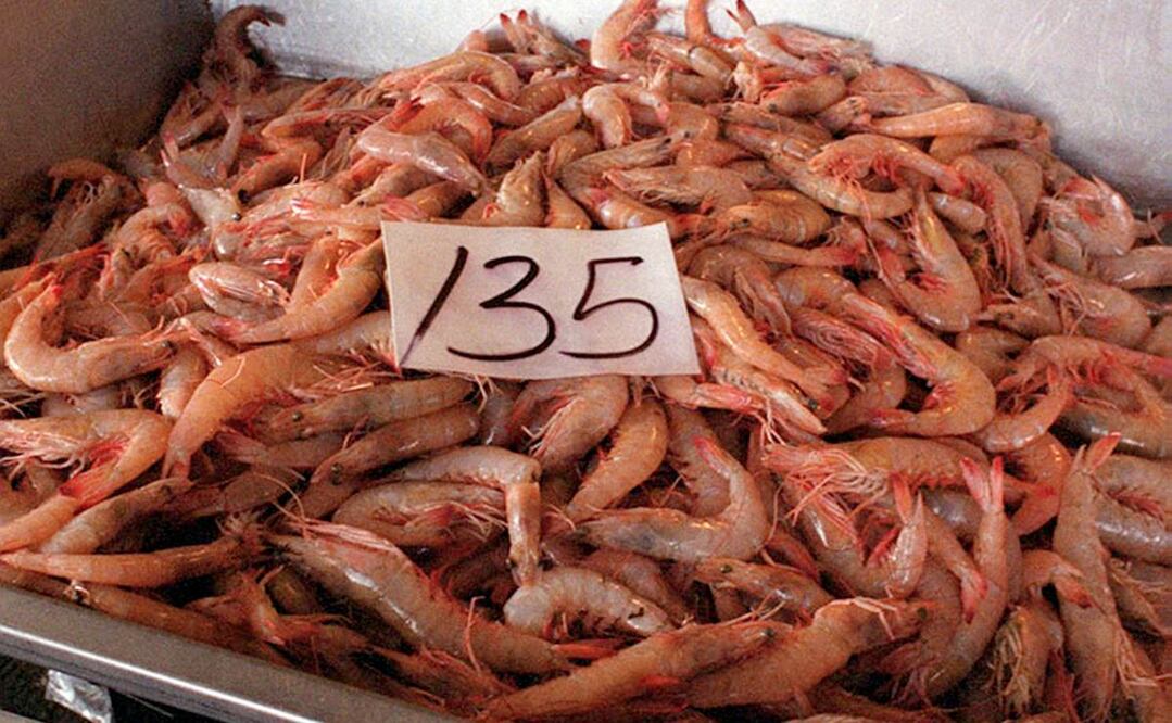 Foto: Archivo/EL UNIVERSAL