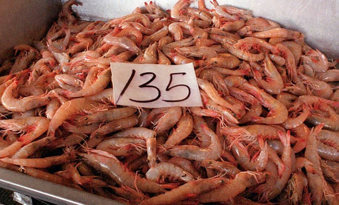 Foto: Archivo/EL UNIVERSAL