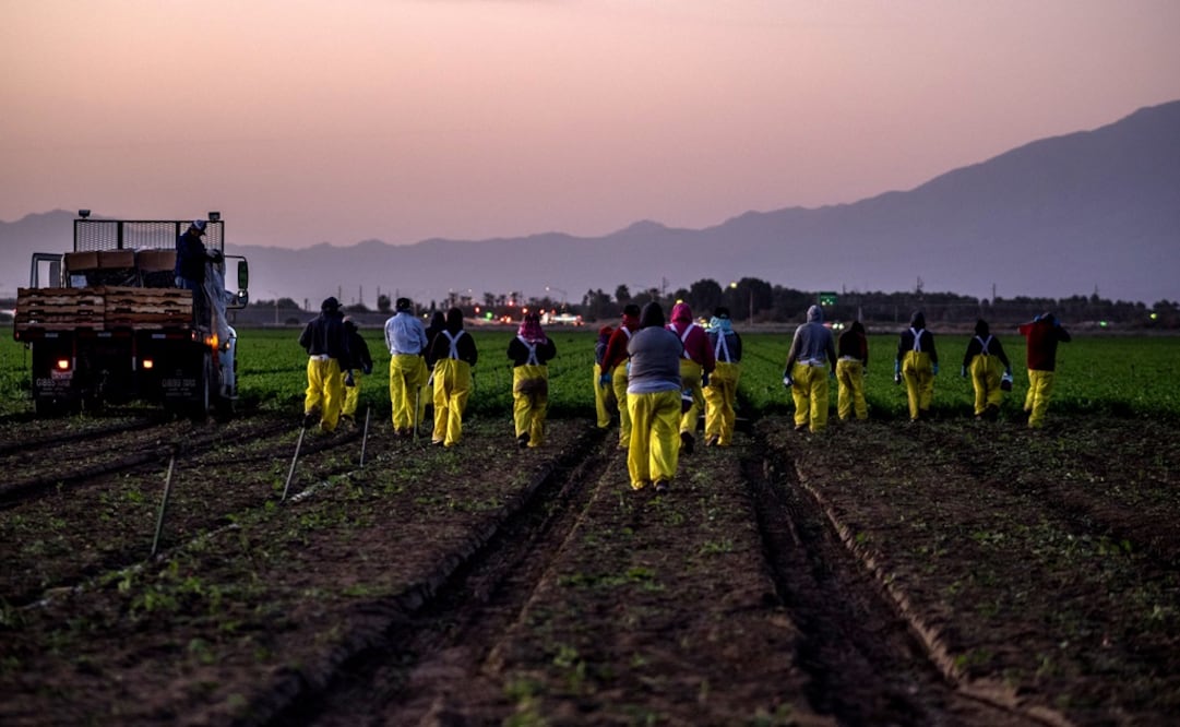 El proyecto reformaría el programa de visas H-2A, con las cuales miles de inmigrantes, principalmente mexicanos, toman trabajos estacionales en el agro estadounidense.