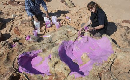 Identificadas 150 huellas de 21 especies de dinosaurios en Australia