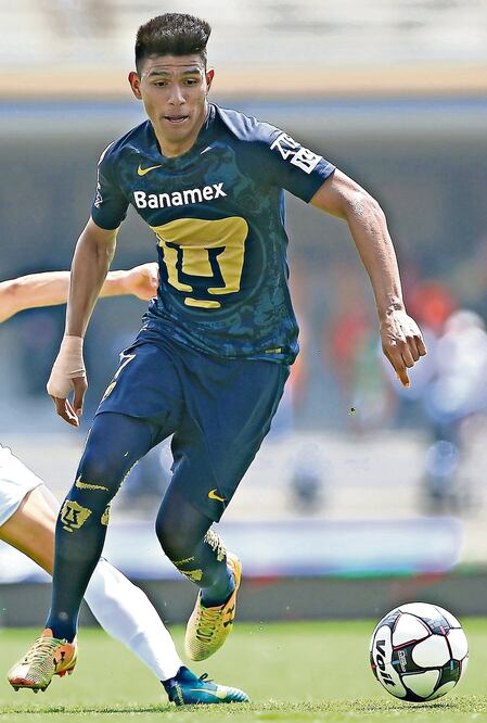 Felino implacable en su madriguera