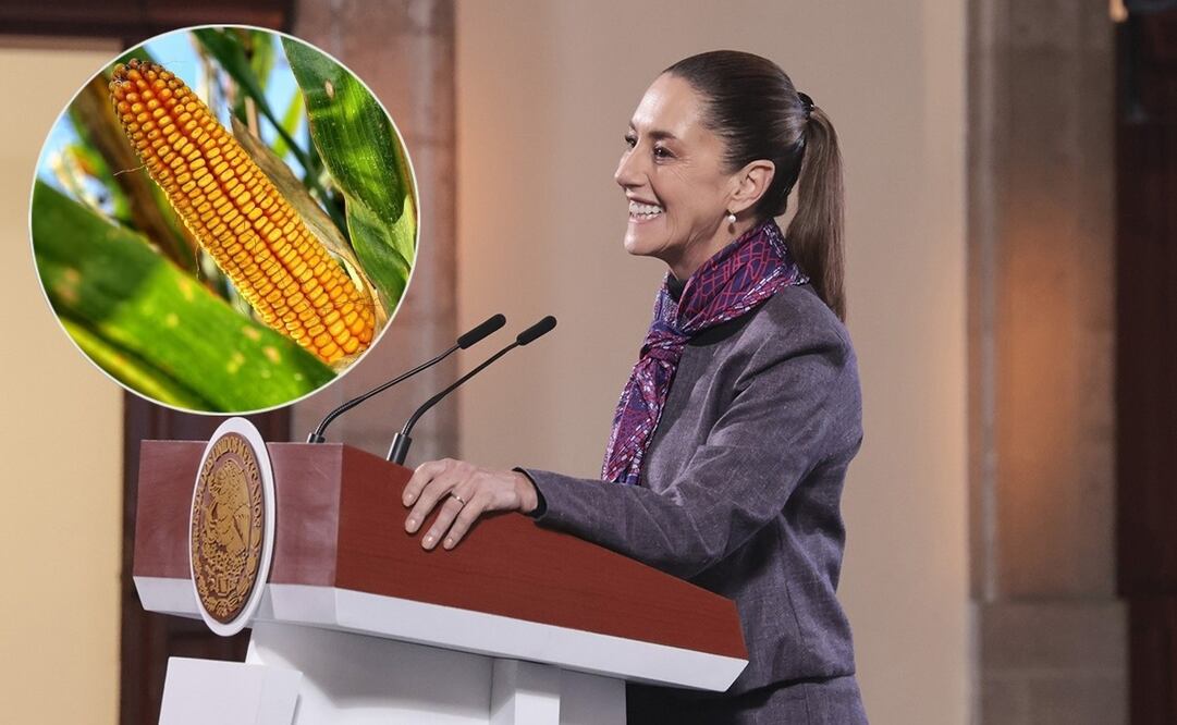 Claudia Sheinbaum durante su mañanera del 7 de enero del 2025. Foto: Presidencia y Pixaby