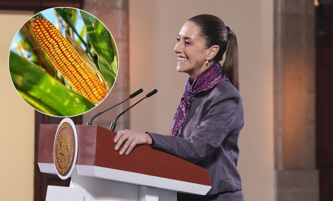 Claudia Sheinbaum durante su mañanera del 7 de enero del 2025. Foto: Presidencia y Pixaby