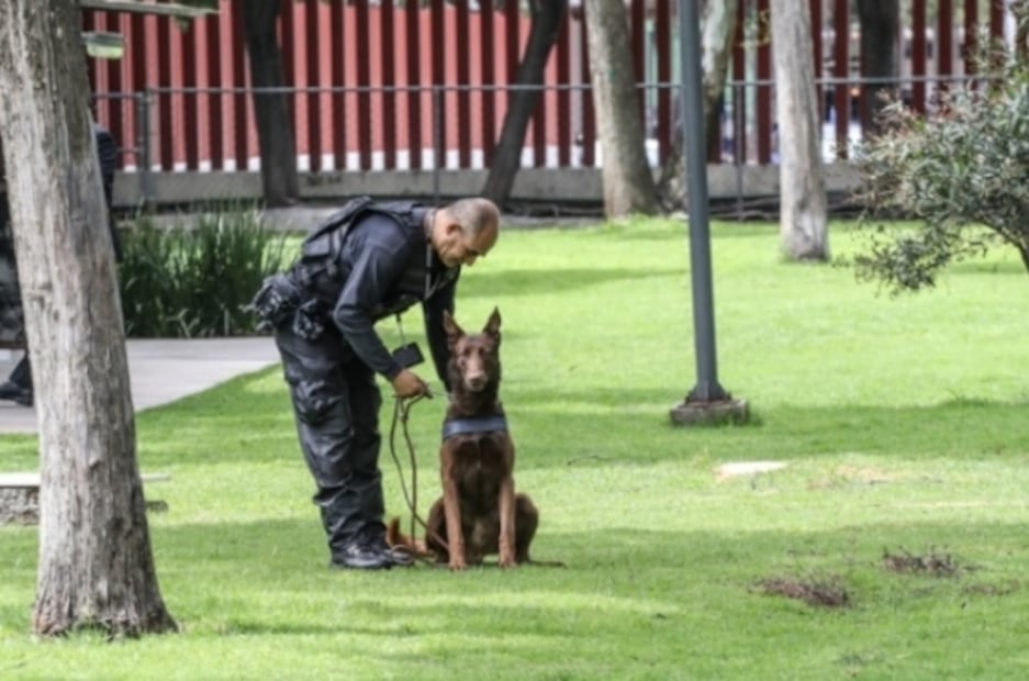 Thor, the cutest bomb dog in Mexico’s Lower Chamber