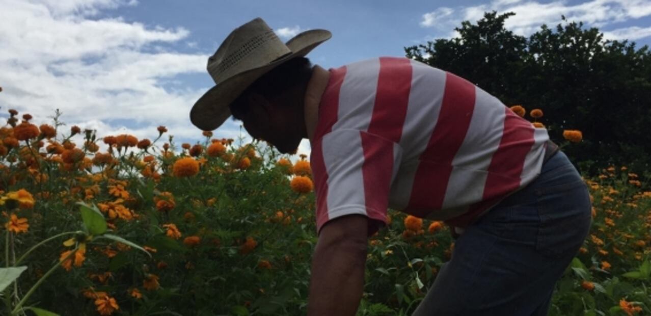 San Pascual Bailón, El Cadejo y El Sombrerón: leyendas zoques en Chiapas