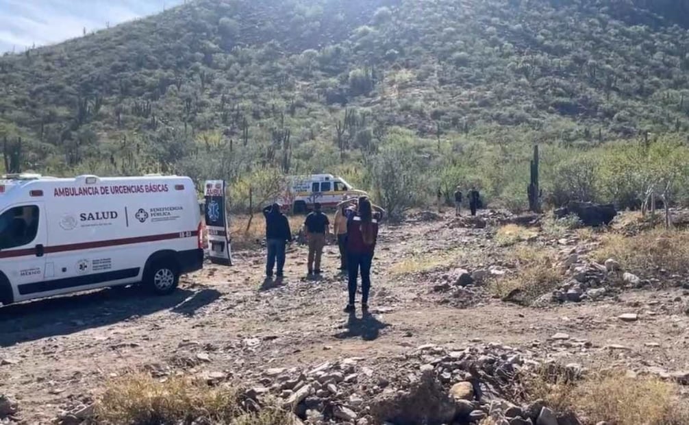 Ciudadanos rescatan delfines varados en el malecón de La Paz,BCS; cuerpos de emergencia rescatan a joven en el Cerro Atravesado.
Foto: Especial.