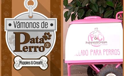 Vámonos de Pata de Perro. Helados de sabores para tu perro