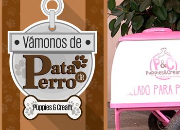 Vámonos de Pata de Perro. Helados de sabores para tu perro