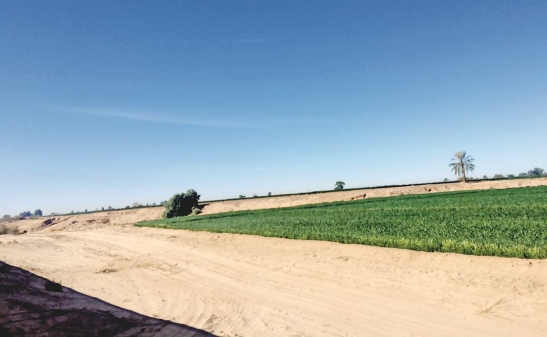 Foto: Archivo / EL UNIVERSAL.