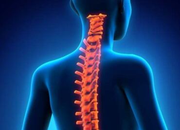 ¿Sabes qué es la higiene de columna?