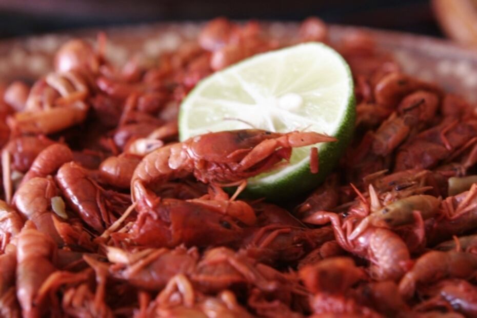 ¡Ahí vienen los escamoles y otras delicias!