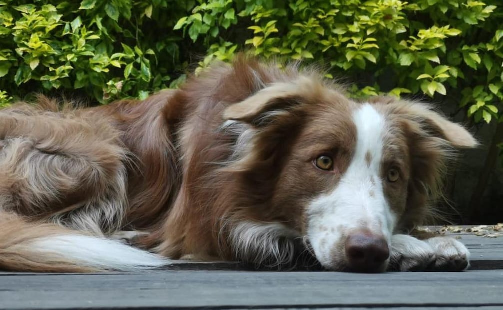 Fotos: Edwin Hernández