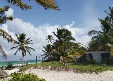 IPN contará con un observatorio de cambio climático en Quintana Roo