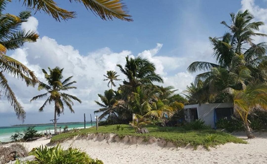En los últimos años, el tema de los océanos ha tomado fuerza, México es un país favorecido con la presencia de dos océanos. (FOTO: IPN)