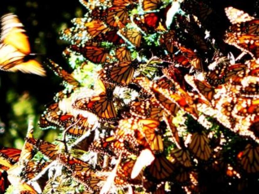 10 destinos que debes visitar en México