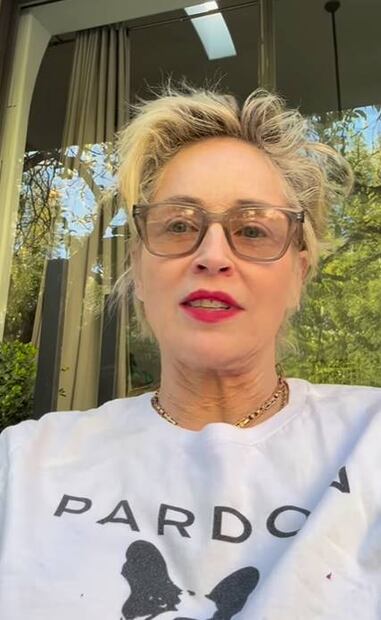 Sharon Stone perdió la custodia de su hijo por actuar en "Bajos instintos"