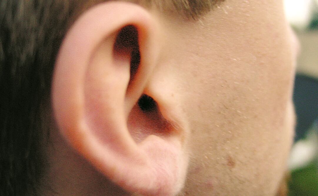 Foto: Archivo EL UNIVERSAL