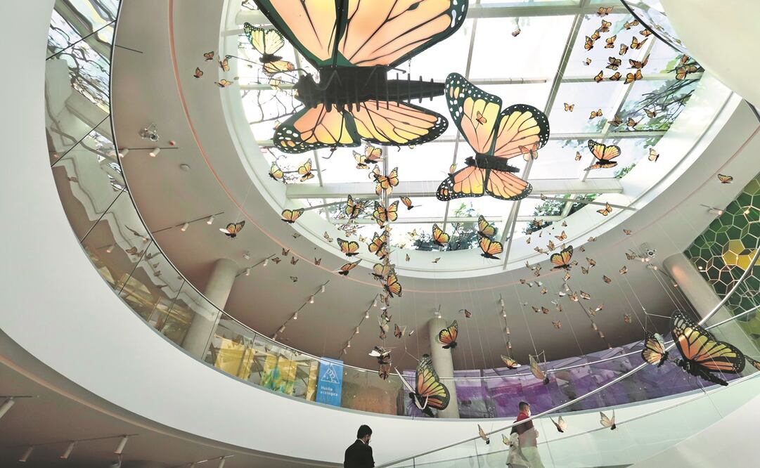 El edificio del Pabellón fue diseñado por la arquitecta Fernanda Ahumada. Foto: Berenice Fregoso. EL UNIVERSAL