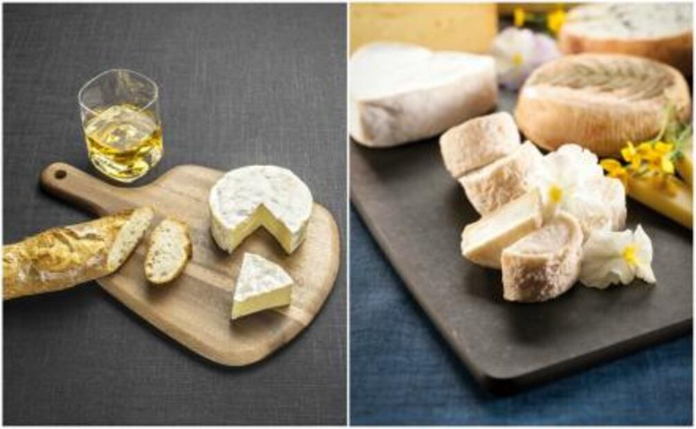 Descubre el delicioso mundo del queso