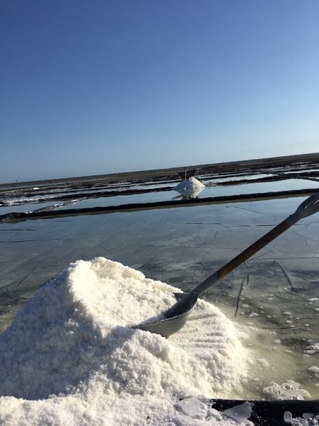 La sal de Cuyutlán, Colima, una de las más cotizadas del mundo