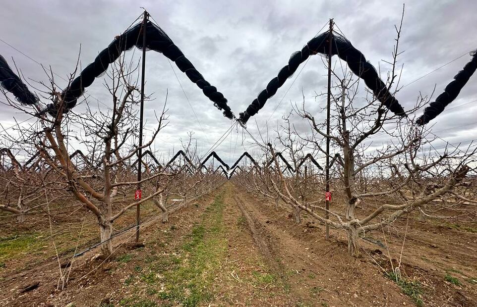 Foto: Omar Moreno/El Universal