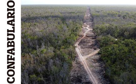 Confabulario Tren Maya: Un capricho devastador