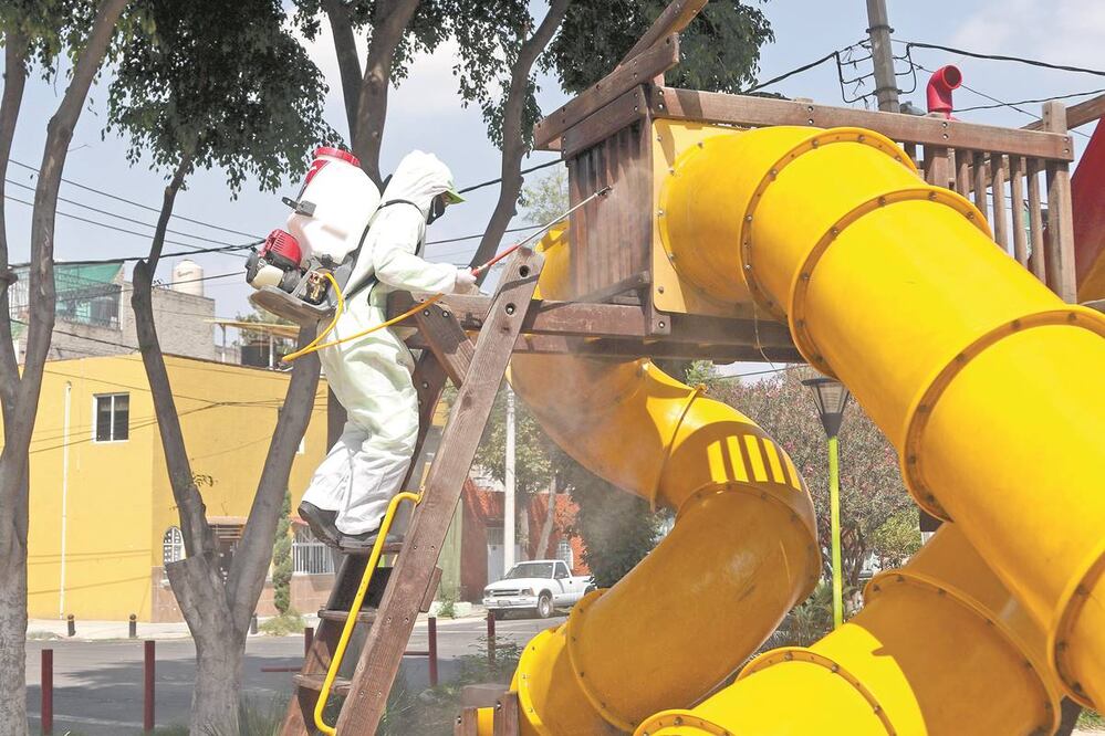 Los grupos trabajan una colonia diferente al día en un turno de ocho horas tratando de abarcar tantas calles les sean posibles, sobre todo espacios públicos como parques, cajeros automáticos y estaciones del Metro y Metrobús. Fotos: Carlos Mejía
