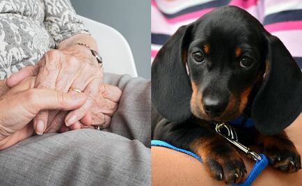 Adultos mayores y mascotas: Estilo de vida impulsa nuevos segmentos de negocio para franquicias